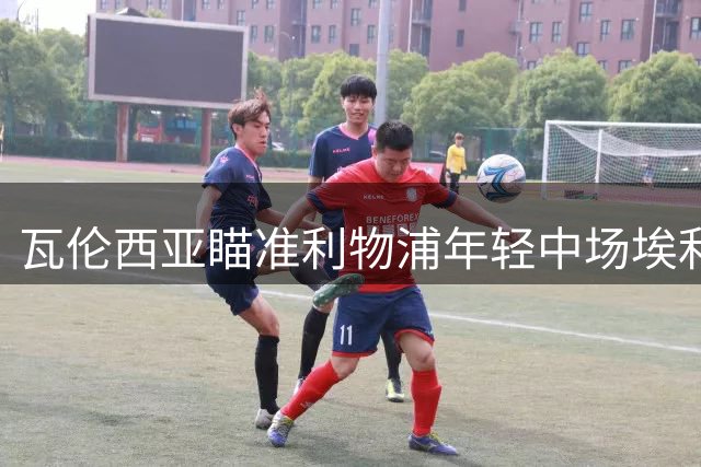 瓦伦西亚瞄准利物浦年轻中场埃利奥特